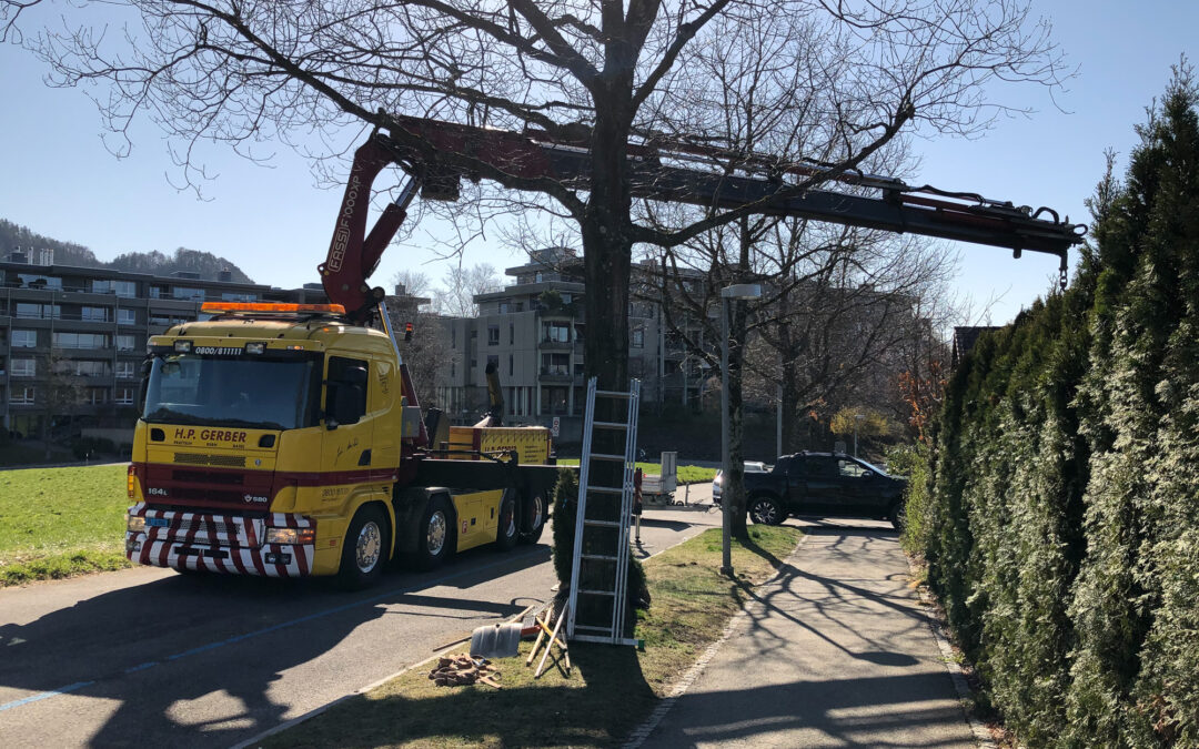 Gartenarbeiten Ittigen