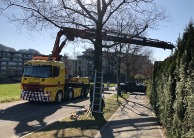 Gartenarbeiten Ittigen