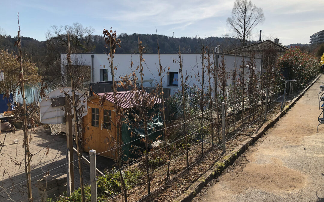 Gartengestaltung Hinterkappelen