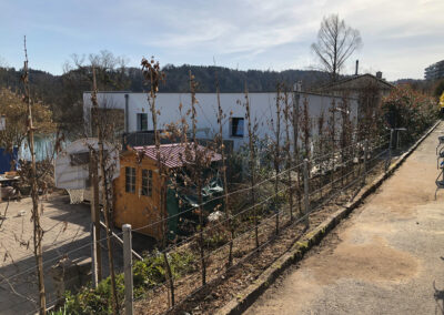 Gartengestaltung Hinterkappelen