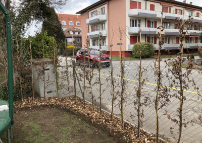 Heckengestaltung Nidau