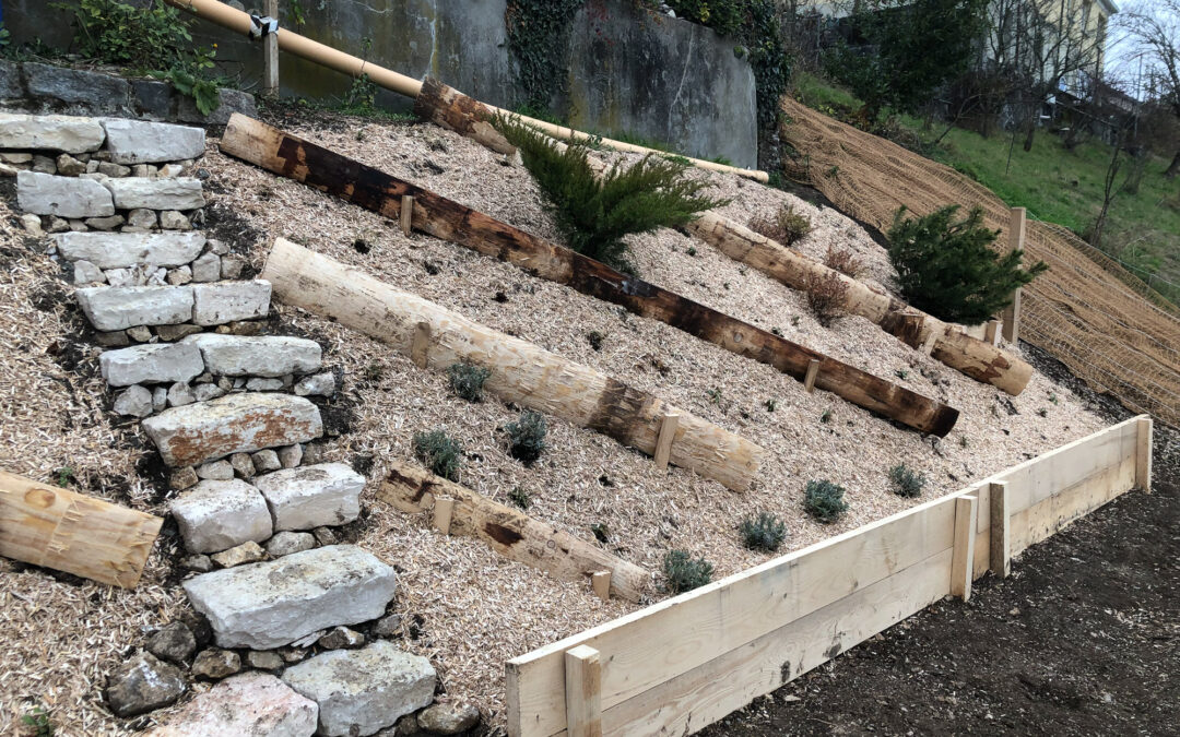 Gartengestaltung in Oberbuchsitten